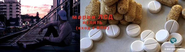 прущие грибы Алексеевка