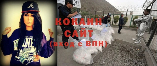 молекула духа Костерёво